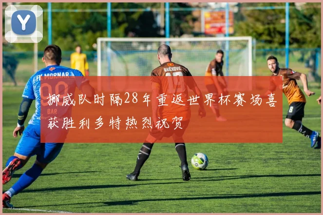 挪威队时隔28年重返世界杯赛场喜获胜利多特热烈祝贺
